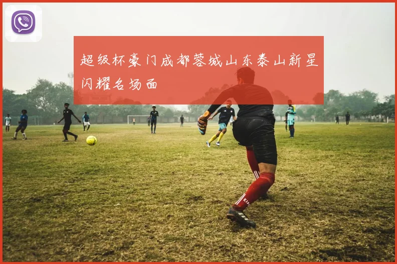 超级杯豪门成都蓉城山东泰山新星闪耀名场面