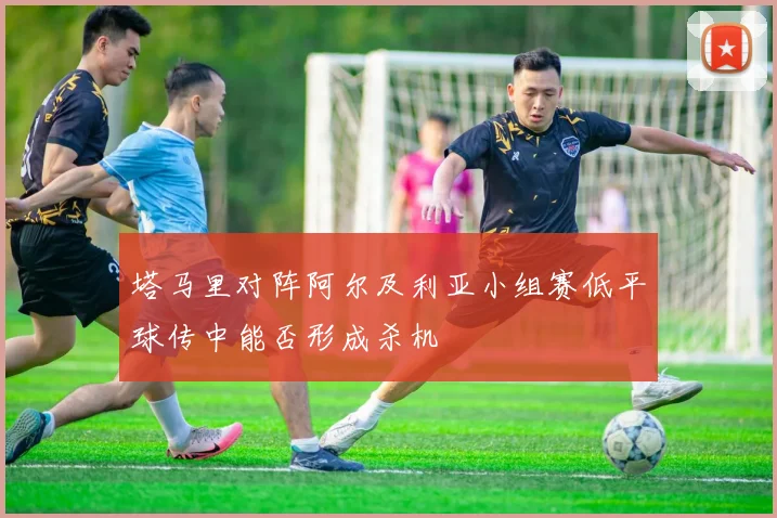 塔马里对阵阿尔及利亚小组赛低平球传中能否形成杀机