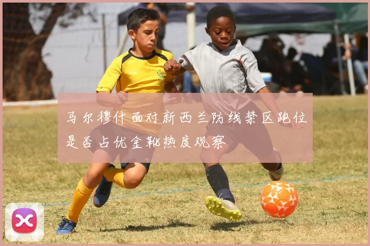 马尔穆什面对新西兰防线禁区跑位是否占优金靴热度观察