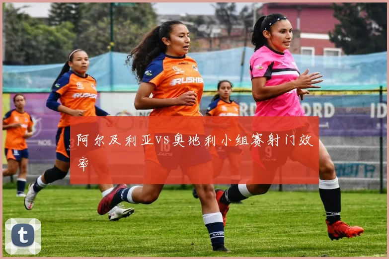 阿尔及利亚vs奥地利小组赛射门效率
