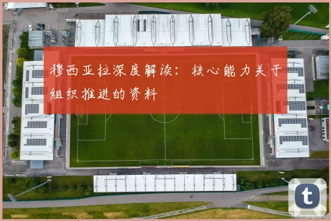 穆西亚拉深度解读：核心能力关于组织推进的资料